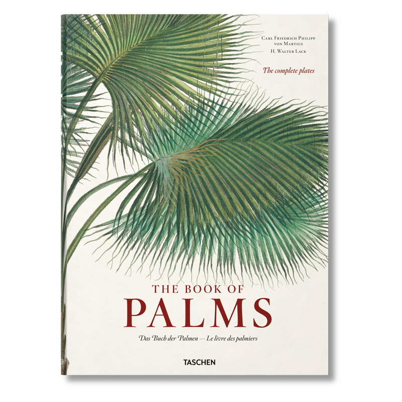 Книга The Book of Palms  в Новосибирске | Loft Concept 