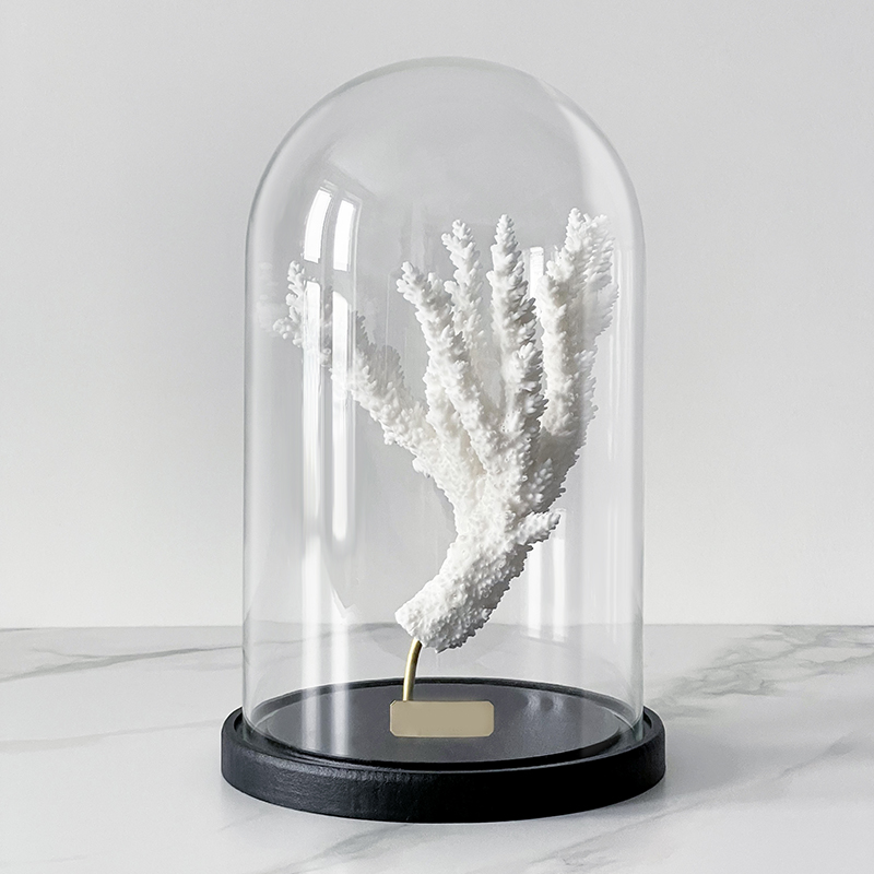 Статуэтка Natural Coral Branch Glass Cloche  в Новосибирске | Loft Concept 