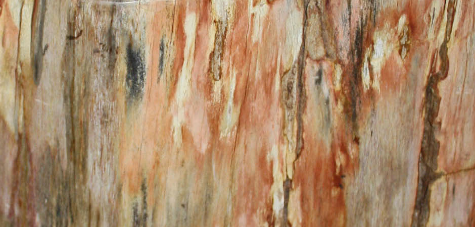 Стул из окаменелого дерева SWS003 - фото №1