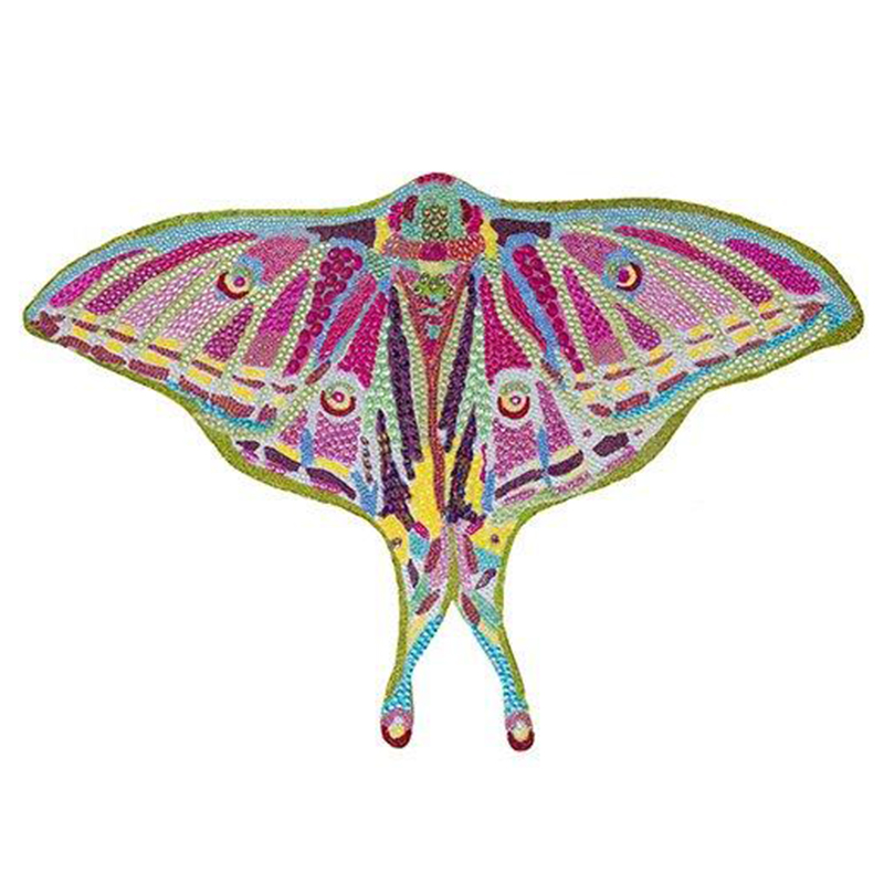 Картина “Spanish Moon Moth Butterfly Cut Out” Мульти в Новосибирске | Loft Concept 