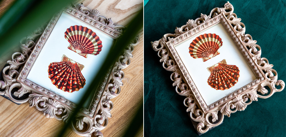 Постер Red Scallop Poster - Loft-Concept в Новосибирске