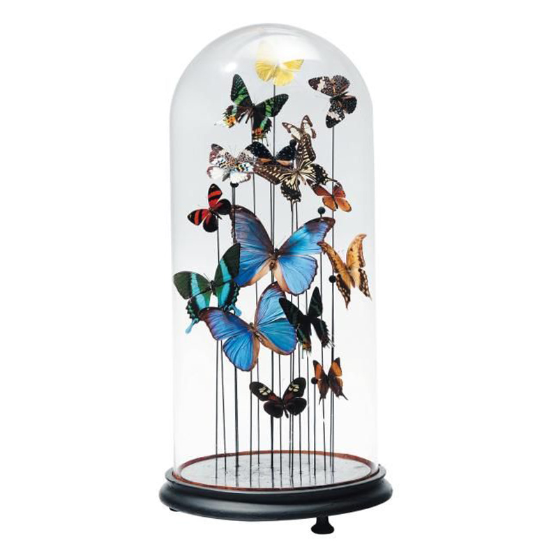 Статуэтка 15 Butterflies Glass Cloche  в Новосибирске | Loft Concept 