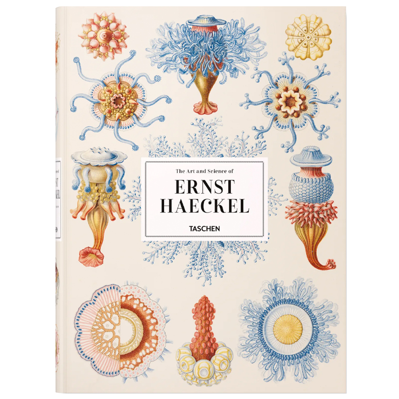 The Art and Science of Ernst Haeckel XXL  в Новосибирске | Loft Concept 