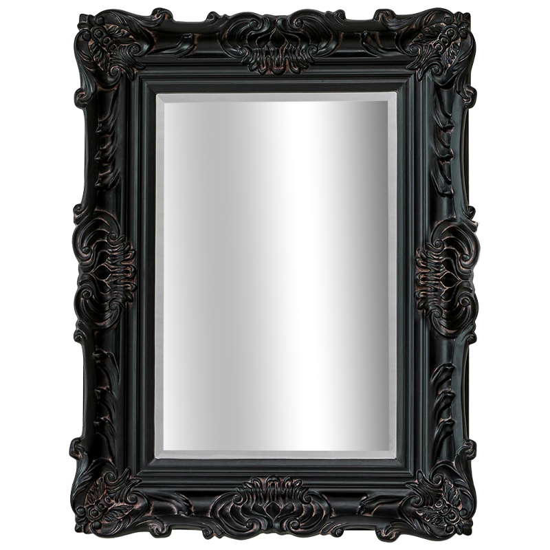 Зеркало Aryan Provence Mirror Black Черный Коричневый в Новосибирске | Loft Concept 