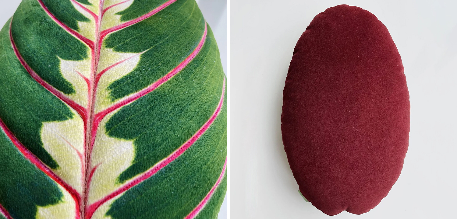 Декоративная подушка Botanical Cushion Maranta Trikolor - фото