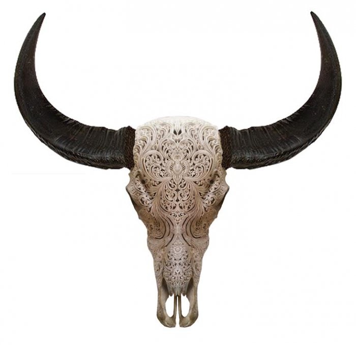 Череп буйвола с резьбой Buffalo Skull Tribal Carving Белый в Новосибирске | Loft Concept 