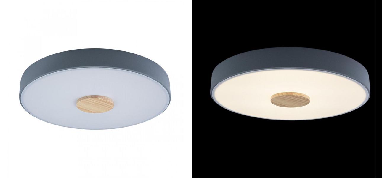 Потолочный светильник Wooden Wheels Grey диаметр 40 - фото №1