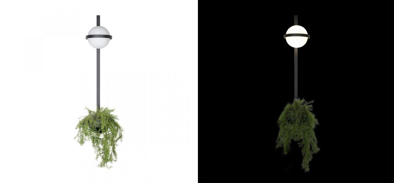 Настенный светильник By Vibia 3714 c чашей для живых растений - фото №1