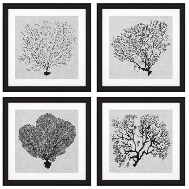 Комплект постеров Eichholtz Prints Shadow Sea Fans set of 4 Черный Черно-белый в Новосибирске | Loft Concept 