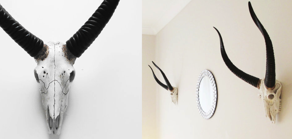 Череп антилопы с черными рогами - Loft-Concept в Новосибирске