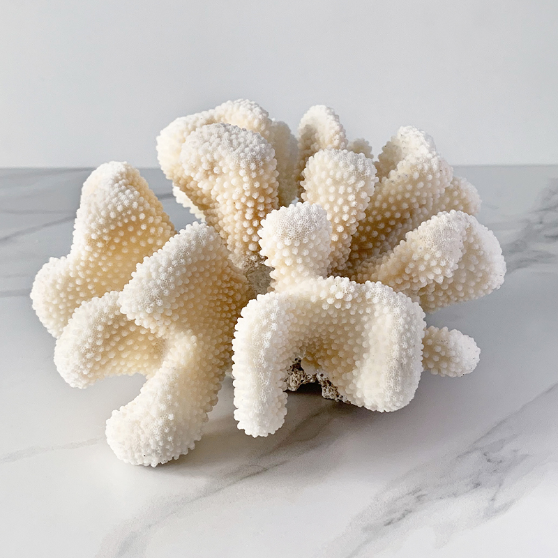 Статуэтка White Cauliflower Coral  в Новосибирске | Loft Concept 