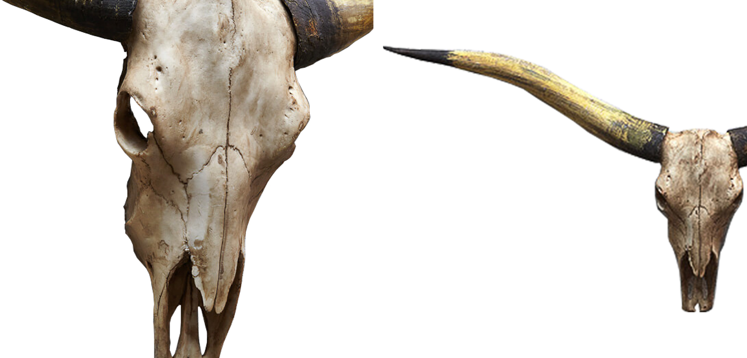 Аксессуар на стену Bull Skull beige - фото