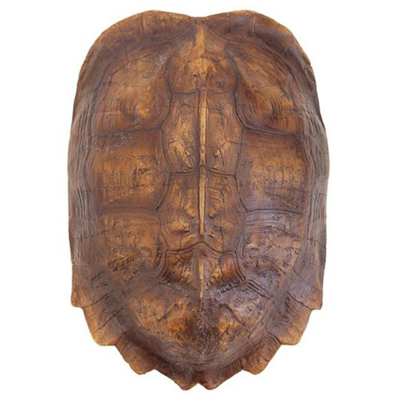 Аксессуар Turtle Shell Natural Light Brown Коричневый в Новосибирске | Loft Concept 