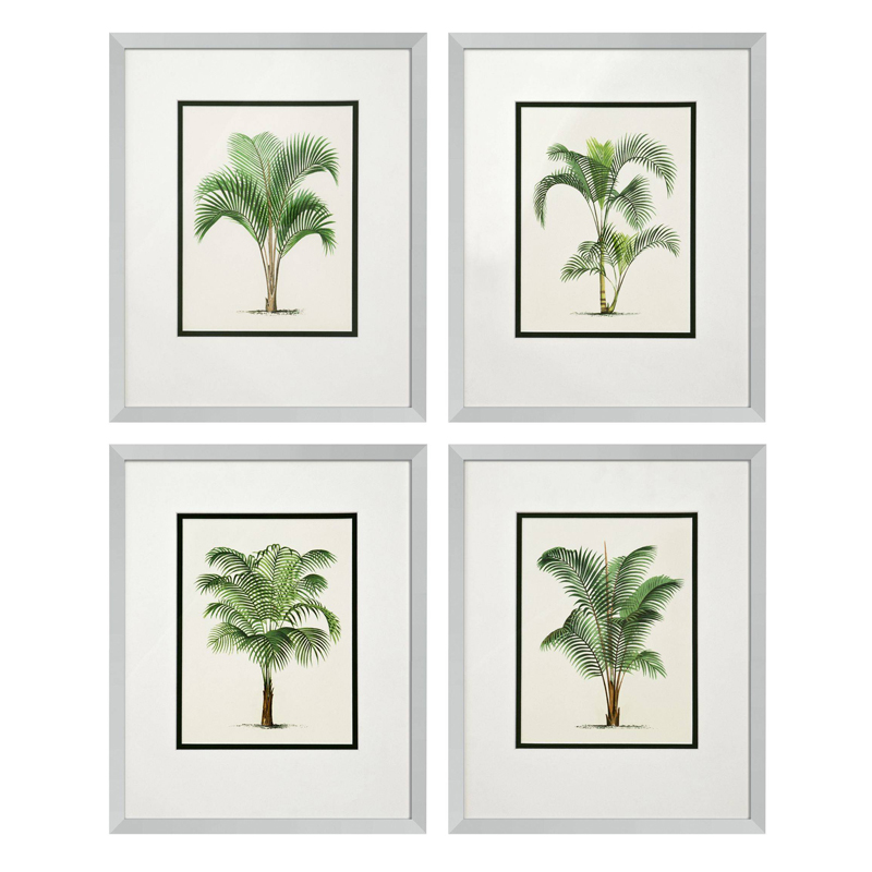 Комплект постеров Eichholtz Prints Palms set of 4 Белый Зеленый Серебряный в Новосибирске | Loft Concept 