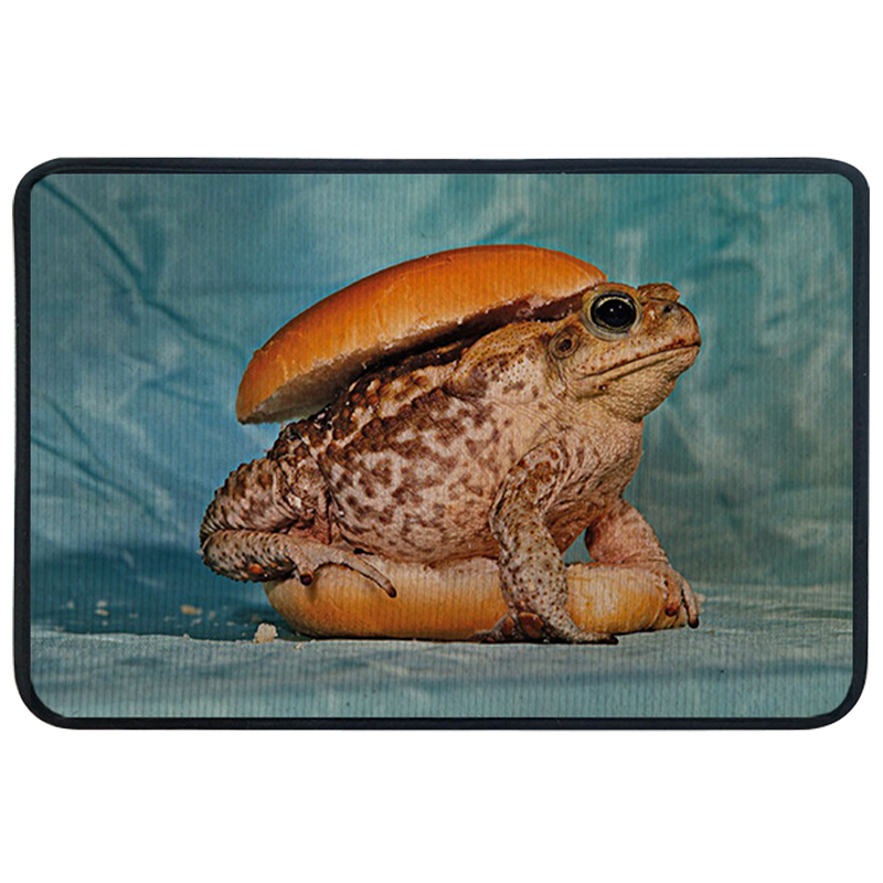 Ковер для прихожей и ванной Seletti Toad Rug Мульти Голубой в Новосибирске | Loft Concept 