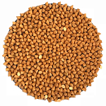 Панно «Gold Star» варинант исполнения - 1 | Loft Concept в Новосибирске