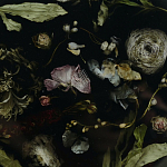 Круглый поднос из эпоксидной смолы с цветами черный Epoxy Resin Flowers Tray Black варинант исполнения - 3 | Loft Concept в Новосибирске