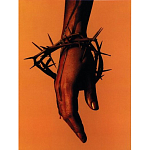 Подарочная книга величайший фотограф Альберт Уотсон The Vienna album Albert Watson варинант исполнения - 4 | Loft Concept в Новосибирске