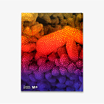 Редкое подарочное издание Yayoi Kusama: 1945 to Now варинант исполнения - 3 | Loft Concept в Новосибирске