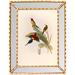 Постер с изображением птиц и цветов в зеркальной раме Blooming Birds Poster варинант исполнения - 4 | Loft Concept в Новосибирске