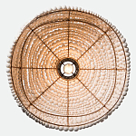 Подвесной светильник в виде купола декорированный белыми деревянными бусинами White Wooden Beads Hanging Lamp варинант исполнения - 4 | Loft Concept в Новосибирске