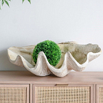 Блюдо декоративное в виде ракушки Seashell варинант исполнения - 3 | Loft Concept в Новосибирске