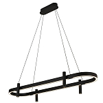 Люстра подвесная овальная черная  Black Light Fixtures варинант исполнения - 1 | Loft Concept в Новосибирске