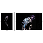 Монография художника Tavares Strachan - There is Light Somewhere варинант исполнения - 6 | Loft Concept в Новосибирске