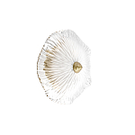 Бра в форме прозрачного стеклянного цветка с рельефной текстурой Textured Glass варинант исполнения - 7 | Loft Concept в Новосибирске