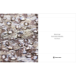 Книга Maison Lesage: Haute Couture Embroidery Mauries Patrick варинант исполнения - 11 | Loft Concept в Новосибирске