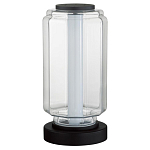 Настольная лампа с прозрачным плафоном Jarrty варинант исполнения - 1 | Loft Concept в Новосибирске