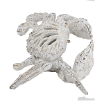 Статуэтка краб с детализированной текстурой в белом цвете Marine Accessories варинант исполнения - 4 | Loft Concept в Новосибирске