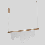 Люстра подвесная с пятью прозрачными элементами в форме лепестков и золотистым металлическим основанием DALI Tonin Casa варинант исполнения - 2 | Loft Concept в Новосибирске