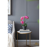 Декоративный искусственное растение Pink orchid варинант исполнения - 8 | Loft Concept в Новосибирске