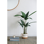 Декоративный искусственное растение Decor Stile  варинант исполнения - 7 | Loft Concept в Новосибирске