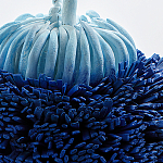 Статуэтка Синий тропический фрукт Tropical Fruit Pandora 1 варинант исполнения - 4 | Loft Concept в Новосибирске