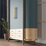 Шкаф «Гавайи» варинант исполнения - 2 | Loft Concept в Новосибирске