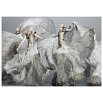 Alexander McQueen: Savage Beauty варинант исполнения - 2 | Loft Concept в Новосибирске