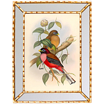 Постер с изображением птиц и цветов в зеркальной раме Blooming Birds Poster варинант исполнения - 7 | Loft Concept в Новосибирске