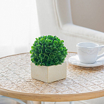 Декоративный искусственное растение Square boxwood варинант исполнения - 6 | Loft Concept в Новосибирске