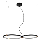 Люстра подвесная светодиодная черный металл Ring Horizontal варинант исполнения - 9 | Loft Concept в Новосибирске