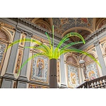 Дизайнерский торшер в виде пальмы Poltronova Sanremo Floor Lamp варинант исполнения - 9 | Loft Concept в Новосибирске