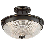 Потолочный светильник со стеклянным плафоном в виде купола Quoizel варинант исполнения - 8 | Loft Concept в Новосибирске