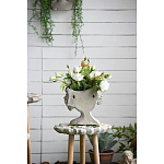 Кашпо Curly baby варинант исполнения - 10 | Loft Concept в Новосибирске