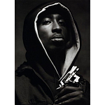 Подарочная книга величайший фотограф Альберт Уотсон The Vienna album Albert Watson варинант исполнения - 2 | Loft Concept в Новосибирске