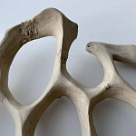 Блюдо «Бежевый коралл» варинант исполнения - 3 | Loft Concept в Новосибирске