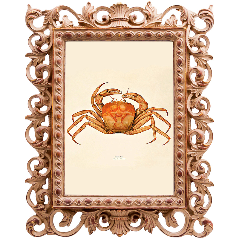 Постер Ocher Crab Poster Бежевый Оранжевый в Новосибирске | Loft Concept 