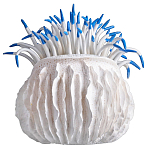 Статуэтка тропический фрукт Tropical Fruit White Blue варинант исполнения - 3 | Loft Concept в Новосибирске