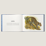 Лимитированная подарочная книга HERMES Fierce and Fragile book, English version варинант исполнения - 3 | Loft Concept в Новосибирске