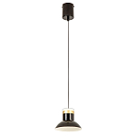 Подвесной светильник Celevis Black варинант исполнения - 2 | Loft Concept в Новосибирске